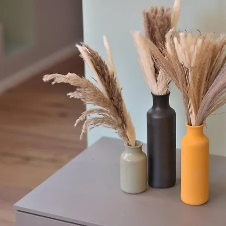 Rosmarino Flexyrent Ac *